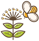 lipovy med tekovsky med